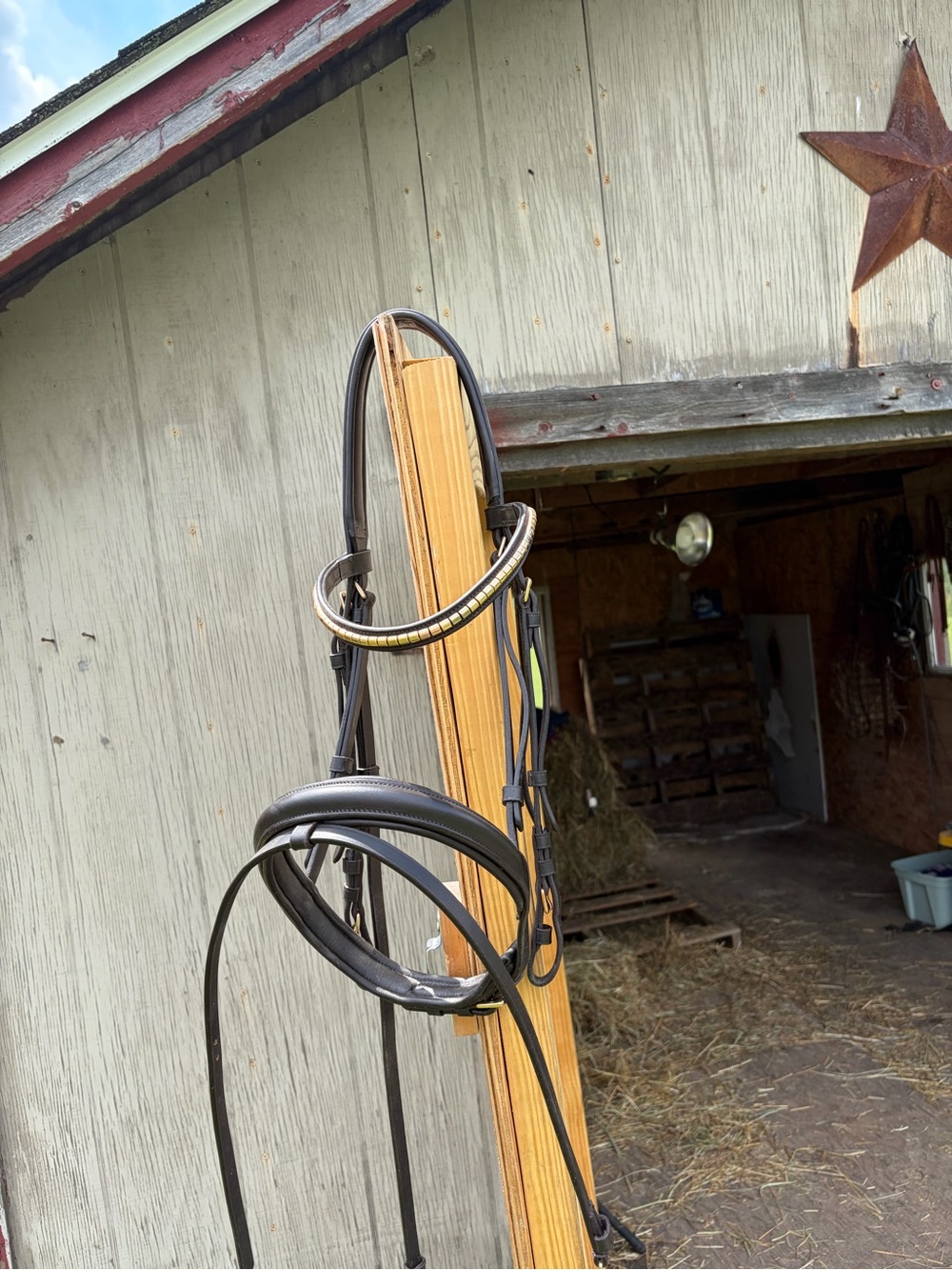 Brown padded horse bridle